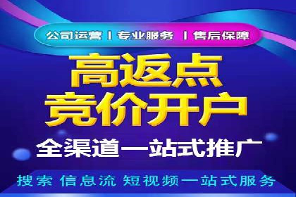 SEM托管服务案例：优化策略与效果展示